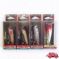 Anyfish 3DS Popper 65F Fishing Lure B