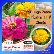 [Easy Growing]F112 ZINNIA FLOWER JC GARDEN SEED BIJI BENIH BUNGA