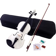 Direct From Japan☆Hallstatt Violin White V-12/WH 4/4 Size Violin (Standard Size)