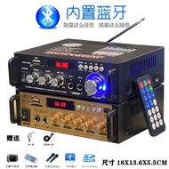 Mini Small Power Amplifier Speaker Power Amplifier CardUDisc Radio Dc Vehicle(12Volt220V)Power Amplifier