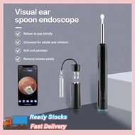 Earpick With Camera LED Light Ear Cleaner Ear Spoon Curette For Baby Adult Otoscope Endoscope Camera Earwax Removal Kit For Android IOS