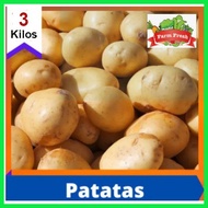 ✤ ◬ POTATO - PATATAS 3 KG. WHOLESALE