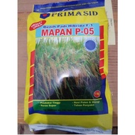 BENIH PADI HIBRIDA MAPAN 05 (DIJAMIN ASLI)