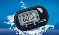  電子溫度計 ✿ ( 外置型) 攝氏/華氏，液晶顯示溫度計、魚缸 水溫計、感溫器 溫度計