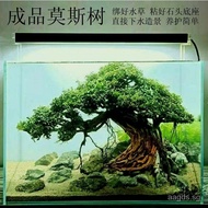 Finished Moss Tree Submerged Wood Tree Fish Tank Landscaping Aquatic Plants and Trees Brazilian Submerged Tree Tree Selection