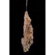 Natural Cork Bark for tilly mounting. Size: 10-12"