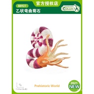 Uk ColltA I give you his prehistoric marine animal model toy88927S-shaped ammonite2025 6YBB