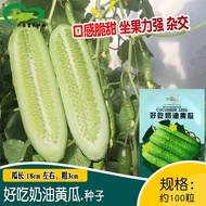 Zhongyan Delicious Cream Cucumber Seeds Farmland Vegetable Garden Planting Mixed Taste Crispy Sweet 
