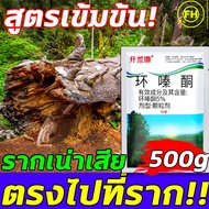 💥ตรงไปที่ราก!!💥ยากำจัดต้นไม้ สารกำจัดกอไผ่ ผงกำจัดต้นไผ่ ยาฆ่าตอไม้ 500g สูตรเข้มข้น กำจัดวัชพืชรากเน่า ผลติดทนนาน ไม่เป็นอันตรายต