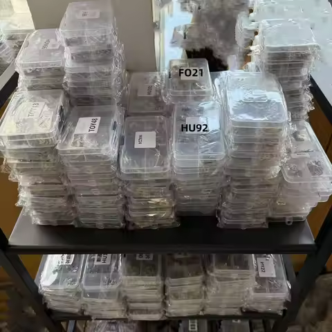 wafer Car Lock Repair Accessories Lock Reed Plate FO21 HY22 HON66 HYN11 HU66 MAZ24 HU92 VA2T SIP22 N