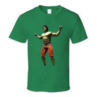 Lou Ferrigno The Incredible Hulk T Shirt