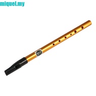 MIQUEL Irish Whistle Flute, 6 Hole Professional Ireland Flute, Musical Accessories Alloy D Key Music