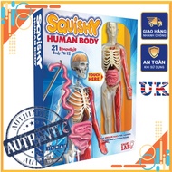 [Gift For Children] Human Body Model Set - Squishy Human Body: 21 Removable Body Parts for children 