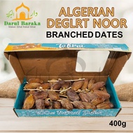 Kuma | Dates | Deglet Noor| Tahira | Algerian Dates Noor | KURMA TANGKAI DEGLET NOUR ALGERIA | PREMI