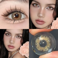 คอนแทคเลนส์  คอนแทคเลนส์สี เลนส์สไตล์ประจำวัน เหมาะกับหน้าสด DNA Taylor 14.0mm Monthly Replace