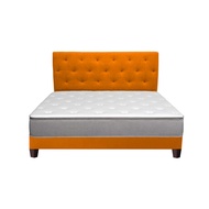 Premium Designer Divan Bed B (Choice of Colours) (2 Years Warranty)