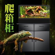 QM Amphibious Waterfall Rainforest Jar Ecological Rainforest Feeding Box Base Cabinet Cabinet 47.8*4