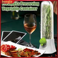 bangla|  Vegetable Preservation Bottle Vegetable Crisper Container Herb Saver Container for Fresh Ki