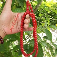 TASBIH FOSIL BATU MARJAN ASLI LAUT MERAH TEMBUS CAHAYA