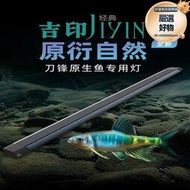 吉印原生魚專業燈爆藻燈照明防水led專用原生溪流缸燈潛水魚缸燈