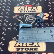 1 PCS CAR DOOR HINGE BOLT L-KEY STAR 6x2 CM ORIGINAL CAR/ DOOR HINGE BOLT 6x2 THREAD BOLT 10 L-KEY S