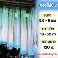 (หัวใหญ่ยาว 120 เมตร) ขนาด 5.5 - 8 เซน แถมฟรีถุงใส่ปลา ตาข่ายดักปลา  มองสำเร็จรูปพร้อมใช้งาน มองใยบั