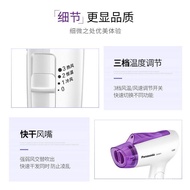 Panasonic Hair DryerEH-NE11Home Dormitory Hotel Anion Constant Temperature Quick-Drying Portable Hot and Cold Hair Dryer