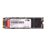 Ramsta M.2 SSD 128G 256G 512G 1TB Laptop  2Model R600-NGFF SATA | R900-NVMe  Capacity SSD006