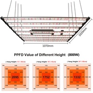 650W 800W 1000W ไฟปลูกต้นไม้ Full spectrum LED grow light SamsungLM301h EVO  โคมไฟปลูกต้นไม้ with ฟังก์ชั่น Timing