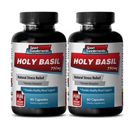 [USA]_Sport Supplements Cholesterol Health Care Pills - HOLY Basil 750MG - Natural Stress Relief - h