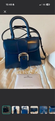 Delvaux Brillant PM