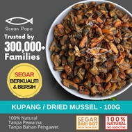 Ocean Papa Kupang Kering Gred A (100g) / Dried Mussel