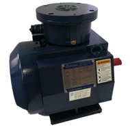 Explosion Proof Motor 5HP (3.7KW) 4Pole 3 Phase
