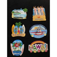 HAWAIIAN COUNTRY SOUVENIR FRIDGE MAGNET (RANDOM MOTIF)
