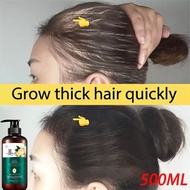 Ginger Shampoo rambut gugur Hair Growth anti hair loss Shampoo Gugur Loss Dandruff Scalp lebatkan rambut panjangkan500ml