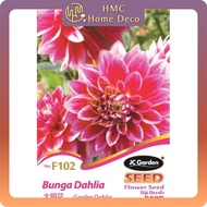 F102 BUNGA DAHLIA JC GARDEN DAHLIA FLOWER SEED BIJI BENIH