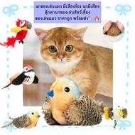 BN-888 ️ Bird Toys For Cats There Is A Cry. Super Fun