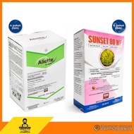 Fungicide Fosetyl Aluminium 80% 1KG | Racun Kulat Phytophthora Bayer Aliette / Sunset 80 WP