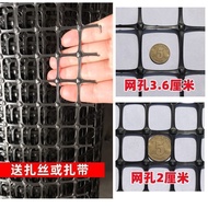 Fence Chicken Net Orchard Duck Goose Chicken Breeding Net Plastic Corn Fence Net Protective Net Chic