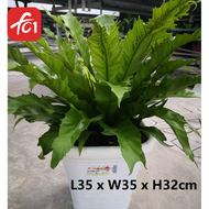 35cm Bottom Hollow Plastic Square Flower Pot With Tray/Pasu Bunga FC1-563/FC1-523