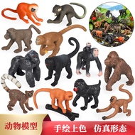 Children's Simulation Wild Animal Model Toy Mini Baboon Orangutan Set Golden Monkey Kindergarten Cog