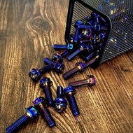 SKRU M8 25MM SIZE 12MM TITANIUM/GOLD