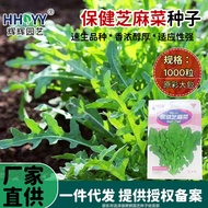 现货热卖芝麻菜种子大叶大宽叶臭菜种子家庭菜园阳台盆栽蔬菜种子易成活Arugula seeds big leaf big wide leaf stinky vegetable seeds home202