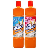 Mr Muscle Bathroom Stain Remover / Pink Floral (450ml/900ml)
