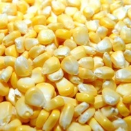 Jagung manis pipil jagung pipilan jasuke sweet corn 500gr