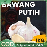 【TC】Bawang Putih / White Garlic AA Grade Fresh Vegetable Delivery/Frozen Food/Organic/Segar/Sayur/