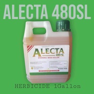 ALECTA 480SL SYSTEMIC WEED KILLER (1 Gallon)
