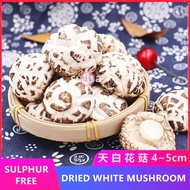 White Flower Dried Mushroom(Japanese variety) Premium Tian Bai White Mushroom日本级天白花菇/白花菇 (4-5cm) 100