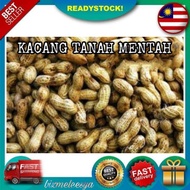 Kacang Tanah Mentah Berkulit Belum Masak/Groundnuts/Kacang Tanah Rebus Bersih Siap Basuh