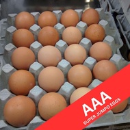 AAA Super Jumbo Eggs 20pcs – Extra Large, Extra Rich 75g per eggs| AAA鸡蛋 20枚装